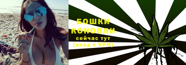 прущие грибы Лихославль