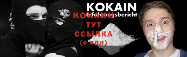 прущие грибы Лихославль