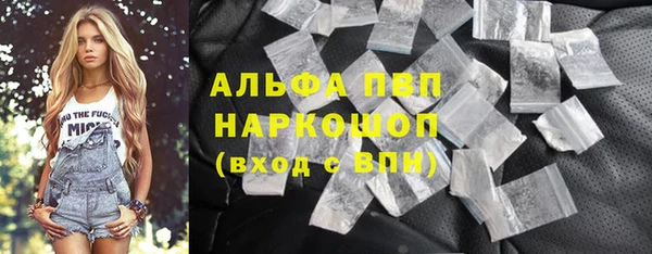 прущие грибы Лихославль