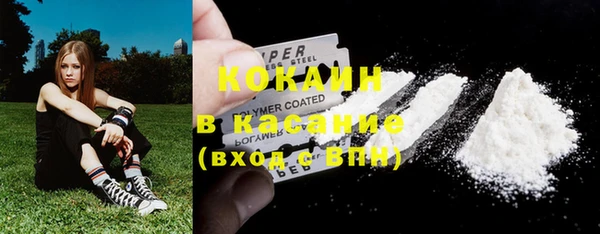 прущие грибы Лихославль