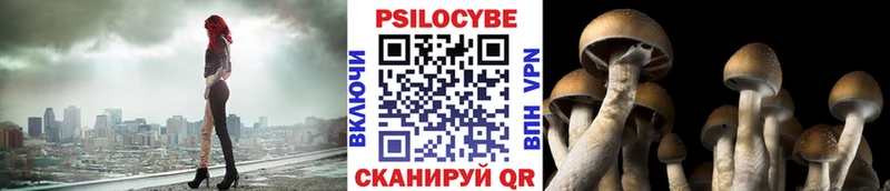 Галлюциногенные грибы Psilocybine cubensis  Купить закладки  Почеп 